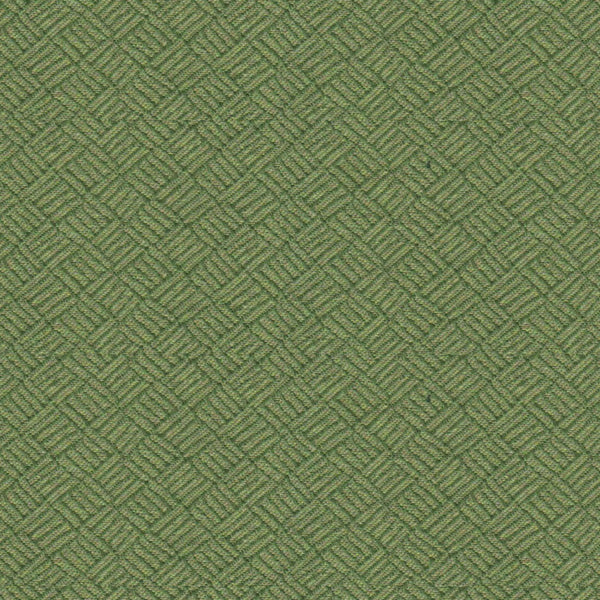 Fiji Ruby Fabric |#| 