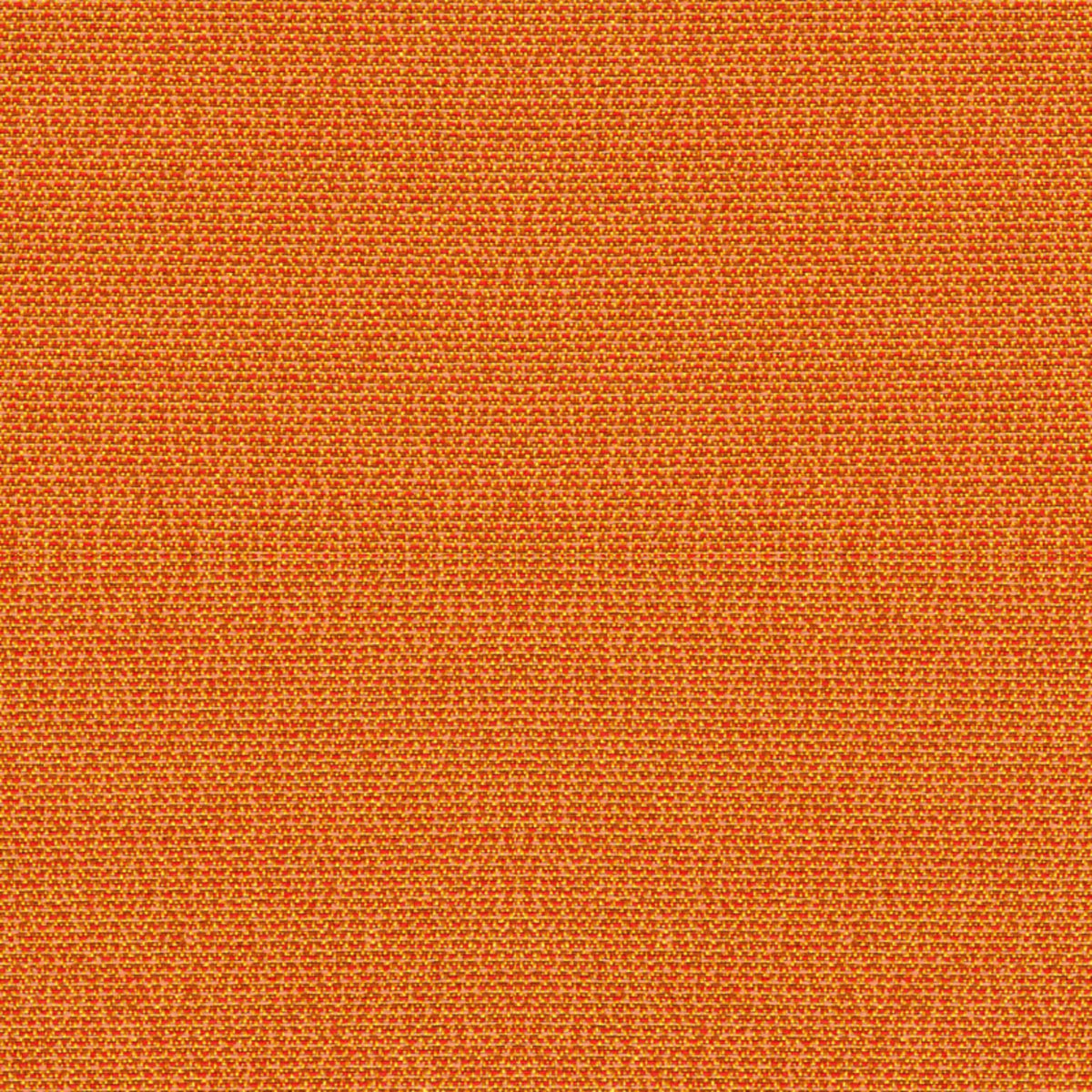 Phoenix All Spice Fabric |#| 