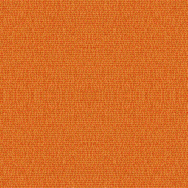 Phoenix Sailor Fabric |#| 
