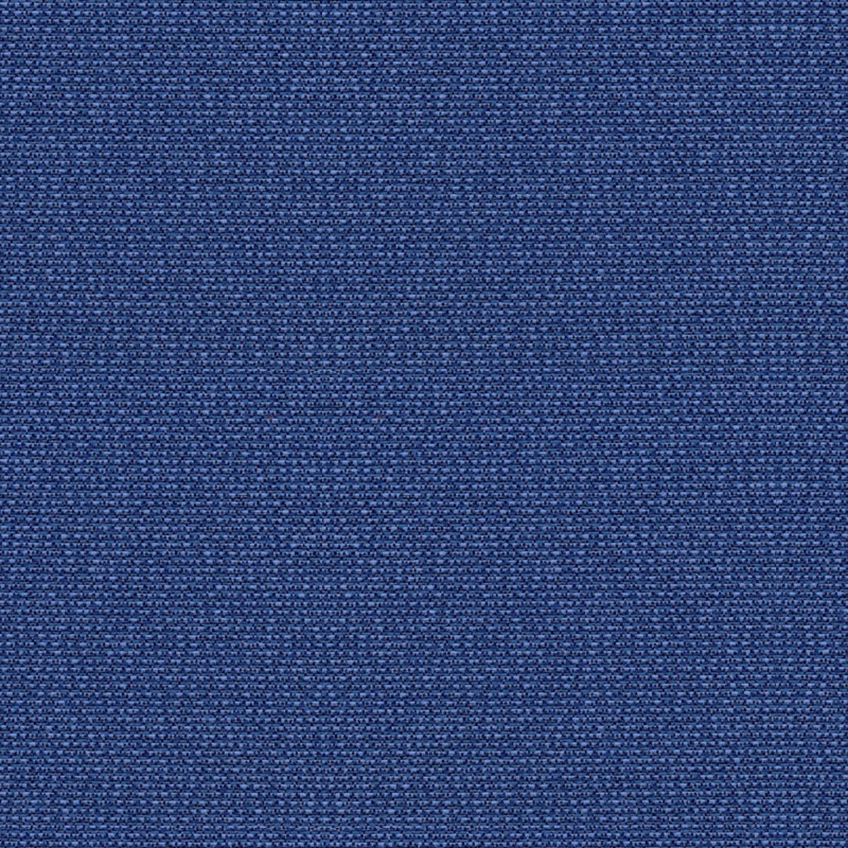 Phoenix Sailor Fabric |#| 