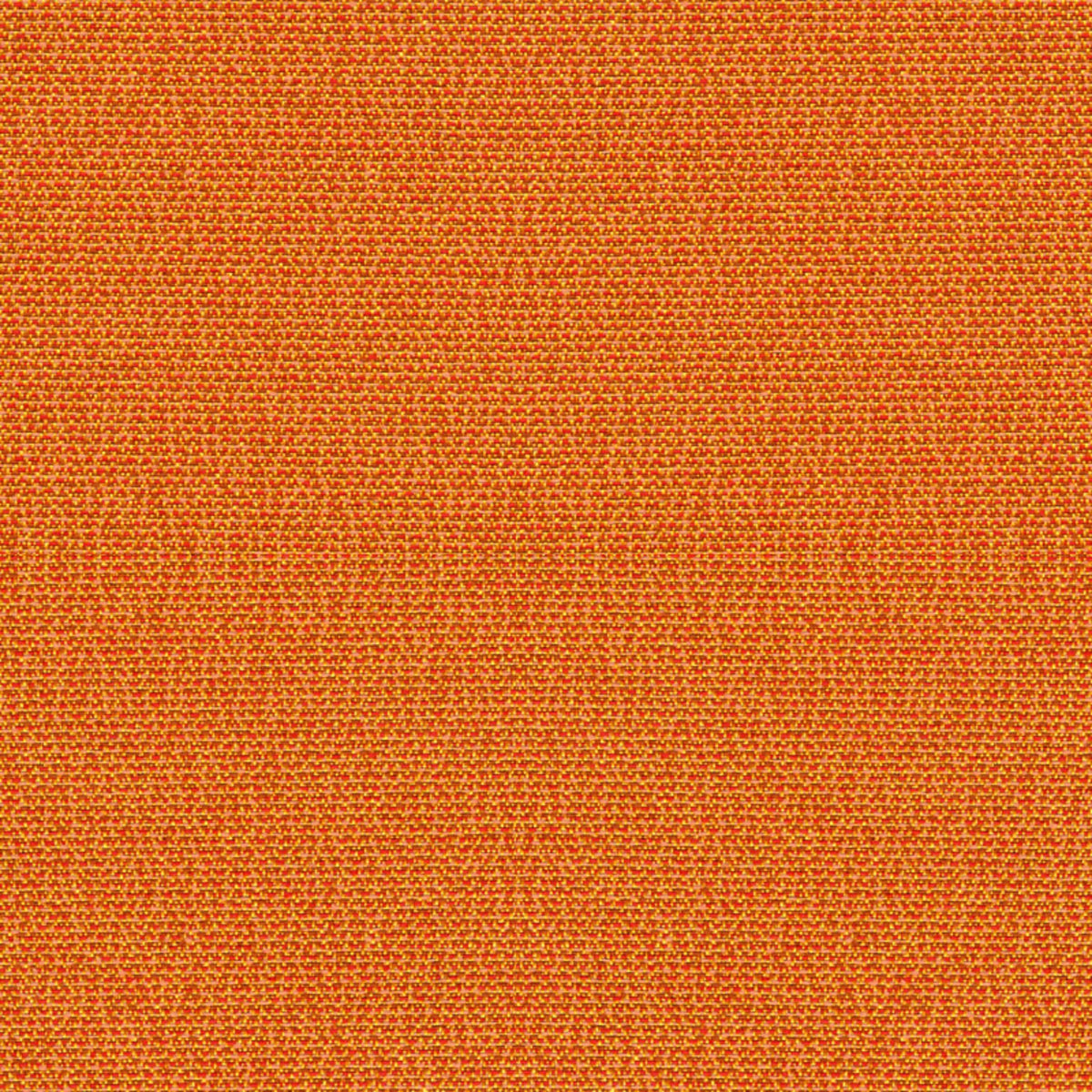 Phoenix All Spice Fabric |#| 