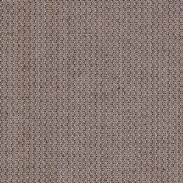 Sammie Joe Chocolate Fabric |#| 