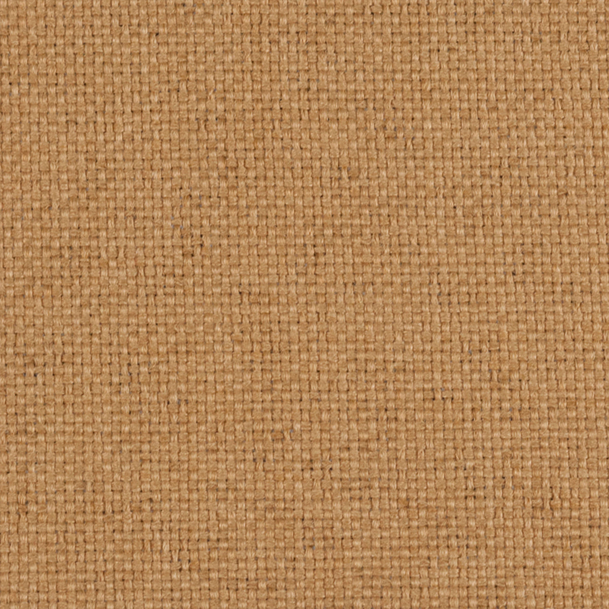 Sherpa Amber Fabric |#| 