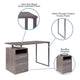 Light Ash |#| Lt Ash Wood Grain Finish Computer Desk with Two Drawers and Silver Metal Frame